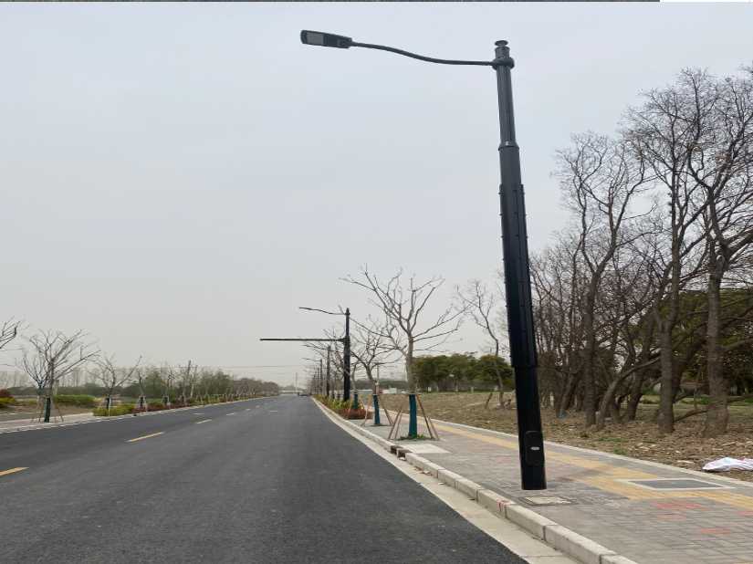进贤县上海综合杆 太阳能路灯工程